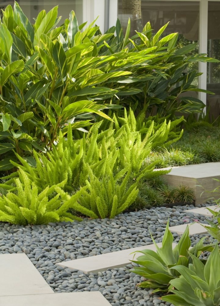 这块墨西哥海滩鹅卵石装饰石置于现代花园中,配有纹理植物,作为额外的步道,内部设有现代阶梯。