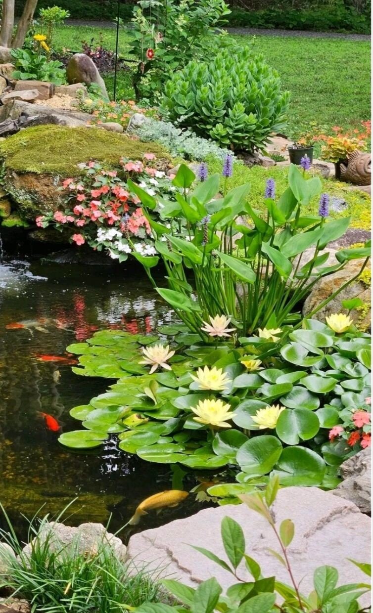 图片[6]-设计师揭秘：院子角落造水池的5大超值理由｜附实景图-灵感屋