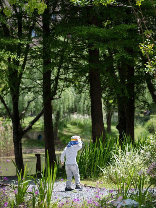 The Orchestra Park / SoBA 管弦乐公园 / SoBA - 外部摄影,森林