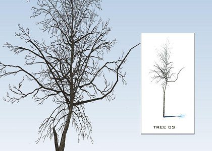 SKETCHUP 3D  TREES collection 1 | Sketchup 3D model trees collection 1