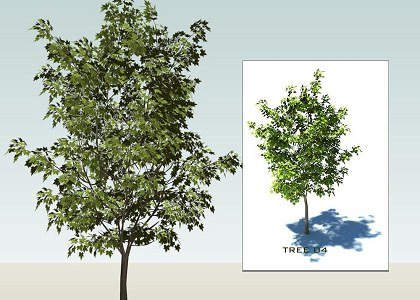 SKETCHUP 3D  TREES collection 1