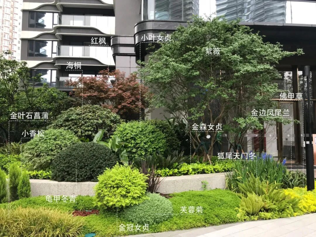 入户花境设计终极指南:主植物选择+养护技巧+20个实景案例解析-灵感屋