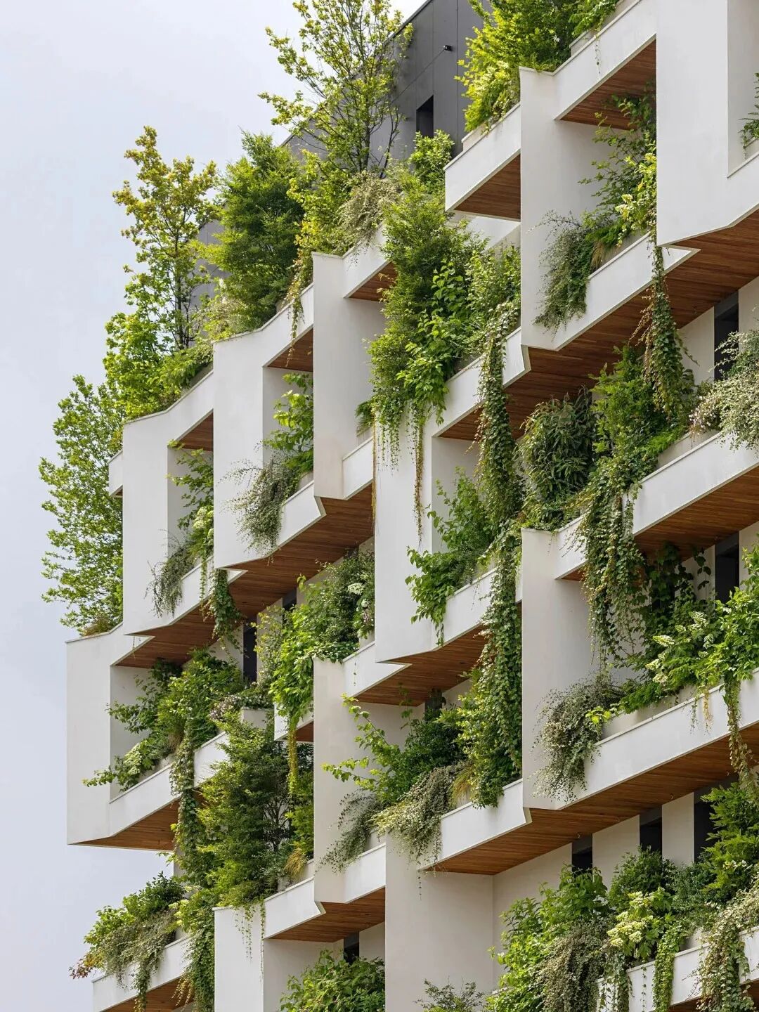 10大垂直绿化设计方案：从植物墙到阳台造景，打造城市生态空间-灵感屋