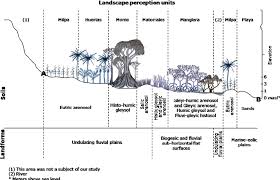 把网站当成一片景观来经营:我为什么做了 Skyline AI Pro https://www.researchgate.net/publication/235334128/figure/fig2/AS%3A299882125512707%401448508878815/Cross-section-schematic-of-the-landscape-perception-unit-types-map-top-showing-local.png