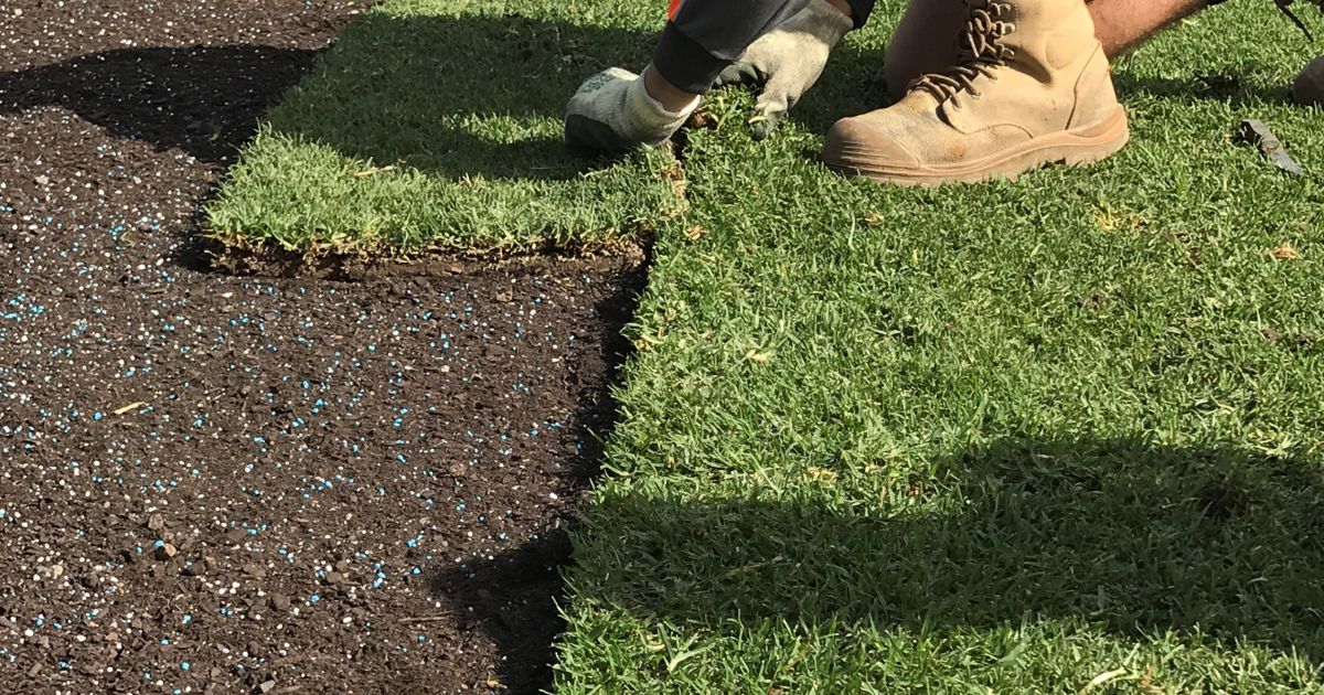 草坪衰退的成因解析与系统性复壮方案-灵感屋