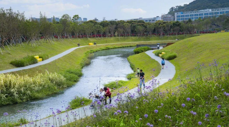 2025上海市海绵城市建设景观设计导则：250页完整PDF下载+设计要点与案例解析-灵感屋