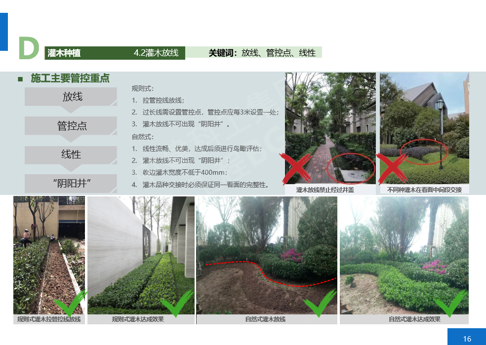 园林软景施工避坑指南:从土方到草坪的全流程标准工法,告别返工轻松过验收-灵感屋