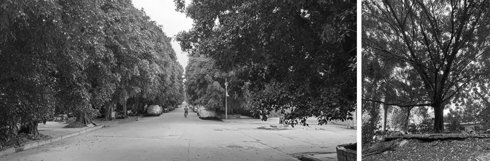 图片[10]-广州黄埔新城101绿榕公园-灵感屋