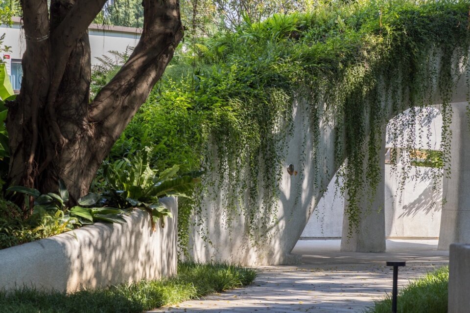 图片[66]-广州黄埔新城101绿榕公园-灵感屋