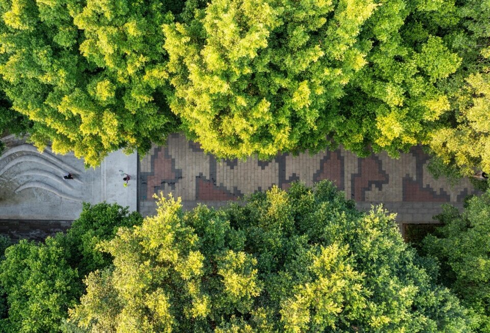 图片[81]-广州黄埔新城101绿榕公园-灵感屋