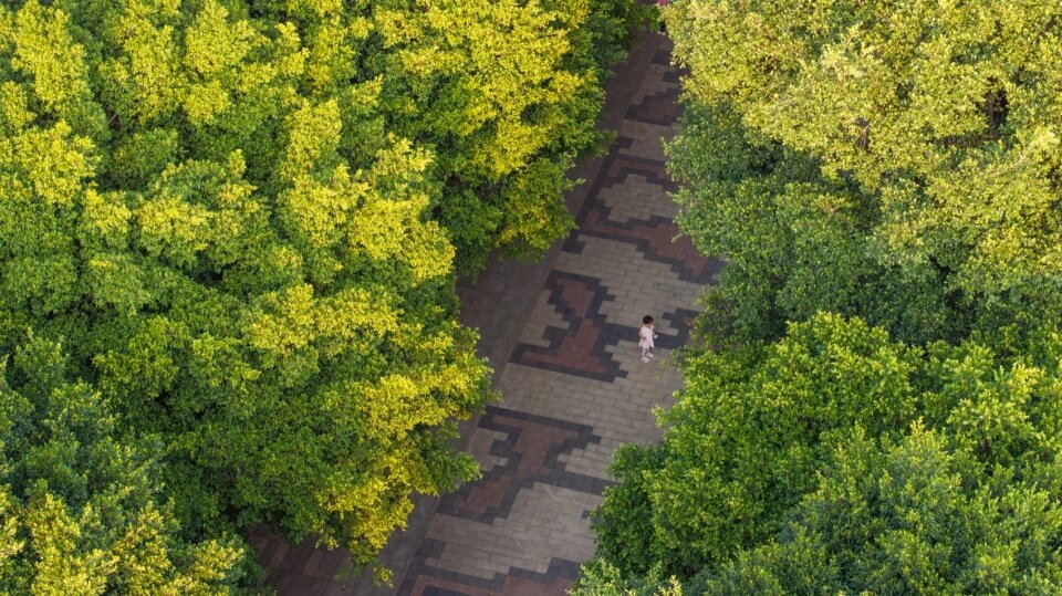 图片[82]-广州黄埔新城101绿榕公园-灵感屋